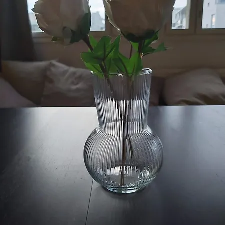 Aurora Jaetkaesaari Apartmán *